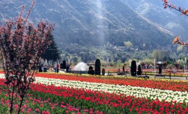 Kashmir’s Symphony:
